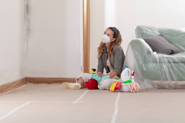 Reliable Mold Remediation contractor in Georgetown, GA by 24 Hour Mold Removal